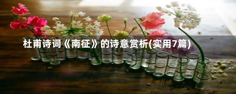 杜甫诗词《南征》的诗意赏析(实用7篇)