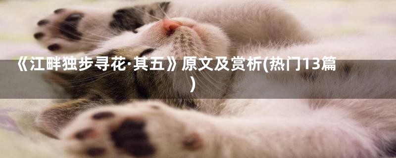 《江畔独步寻花·其五》原文及赏析(热门13篇)