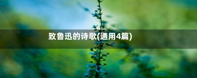 致鲁迅的诗歌(通用4篇)