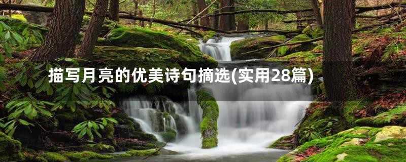 描写月亮的优美诗句摘选(实用28篇)