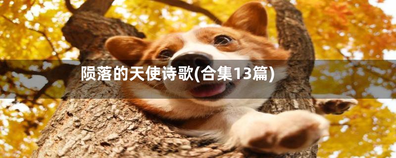 陨落的天使诗歌(合集13篇)