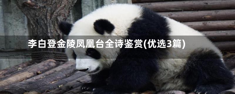 李白登金陵凤凰台全诗鉴赏(优选3篇)