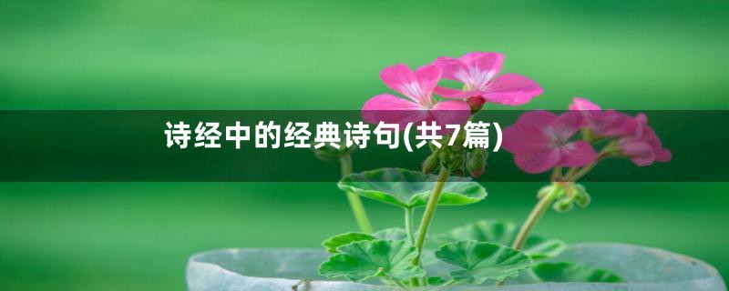 诗经中的经典诗句(共7篇)