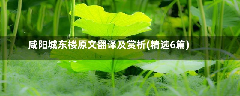 咸阳城东楼原文翻译及赏析(精选6篇)