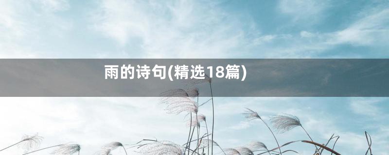 雨的诗句(精选18篇)