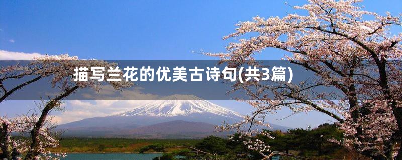 描写兰花的优美古诗句(共3篇)