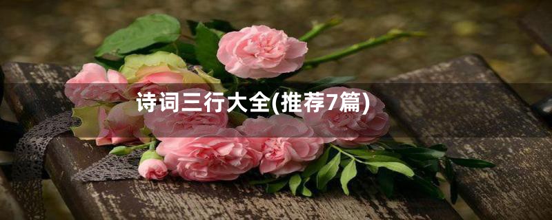 诗词三行大全(推荐7篇)