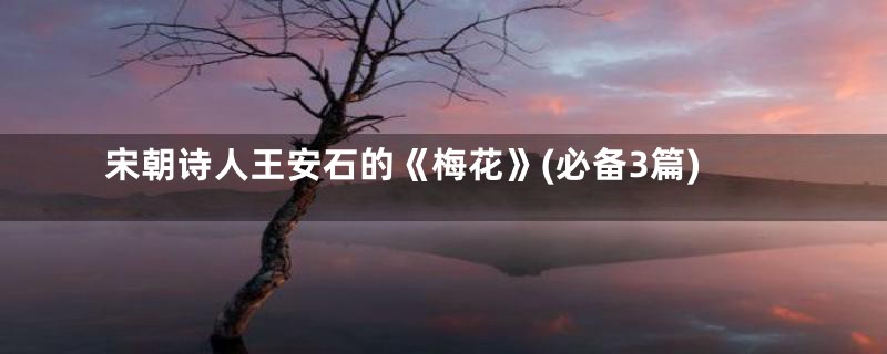 宋朝诗人王安石的《梅花》(必备3篇)