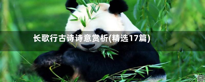长歌行古诗诗意赏析(精选17篇)