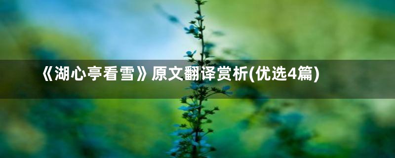 《湖心亭看雪》原文翻译赏析(优选4篇)