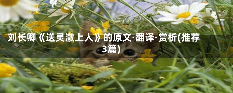 刘长卿《送灵澈上人》的原文·翻译·赏析(推荐3篇)