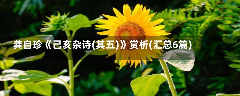 龚自珍《己亥杂诗(其五)》赏析(汇总6篇)
