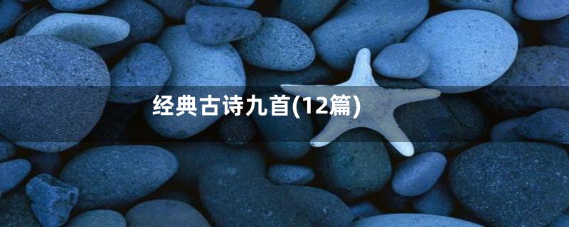 经典古诗九首(12篇)