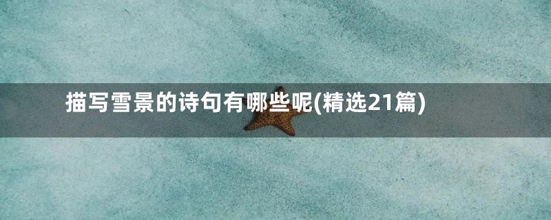 描写雪景的诗句有哪些呢(精选21篇)