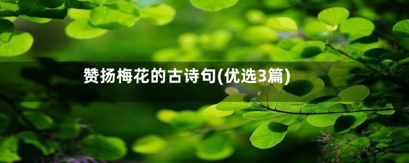 赞扬梅花的古诗句(优选3篇)
