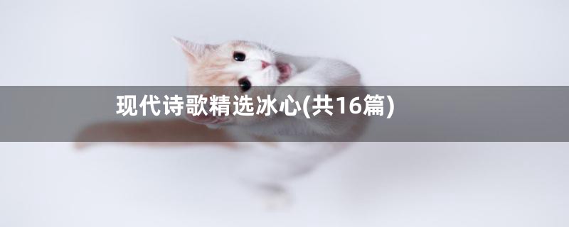 现代诗歌精选冰心(共16篇)