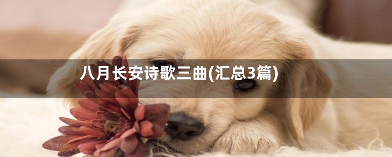 八月长安诗歌三曲(汇总3篇)