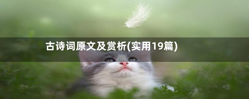 古诗词原文及赏析(实用19篇)