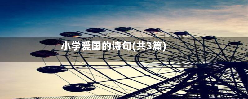 小学爱国的诗句(共3篇)