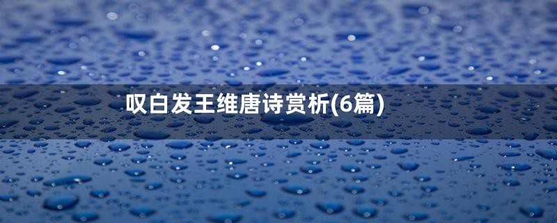 叹白发王维唐诗赏析(6篇)