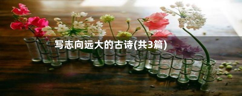 写志向远大的古诗(共3篇)