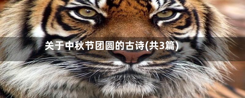 关于中秋节团圆的古诗(共3篇)
