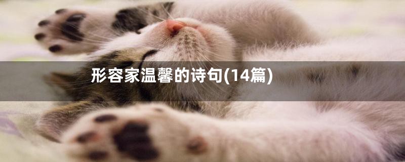 形容家温馨的诗句(14篇)