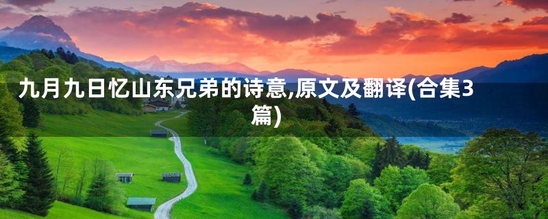九月九日忆山东兄弟的诗意,原文及翻译(合集3篇)