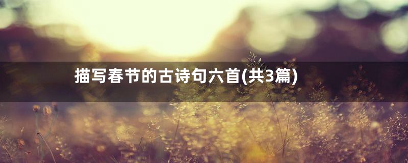描写春节的古诗句六首(共3篇)