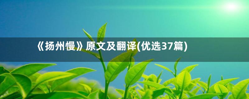 《扬州慢》原文及翻译(优选37篇)