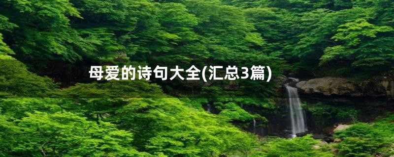 母爱的诗句大全(汇总3篇)