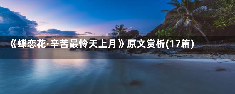 《蝶恋花·辛苦最怜天上月》原文赏析(17篇)