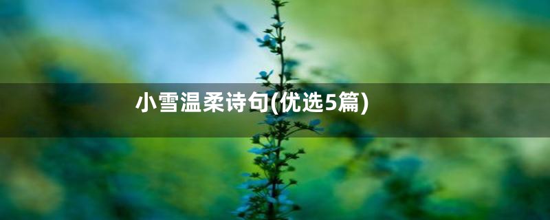 小雪温柔诗句(优选5篇)