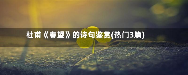 杜甫《春望》的诗句鉴赏(热门3篇)