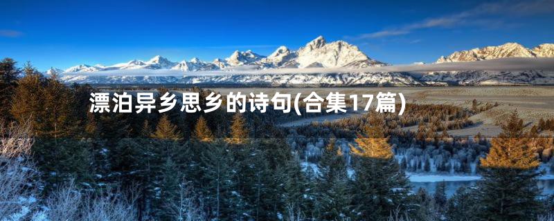 漂泊异乡思乡的诗句(合集17篇)