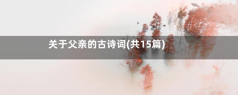 关于父亲的古诗词(共15篇)