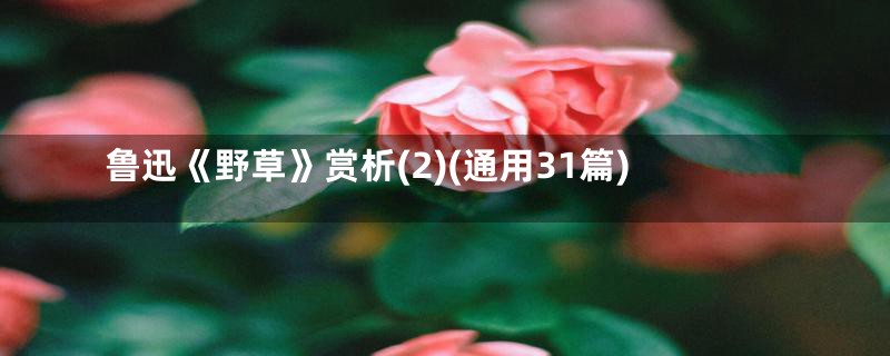 鲁迅《野草》赏析(2)(通用31篇)
