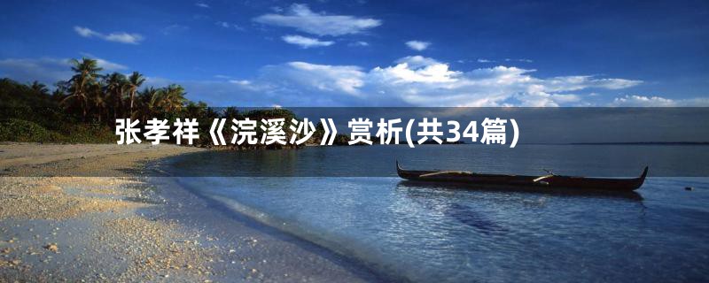 张孝祥《浣溪沙》赏析(共34篇)