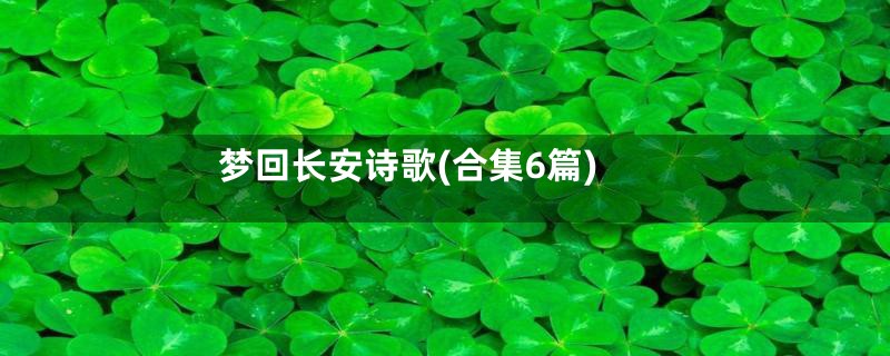 梦回长安诗歌(合集6篇)