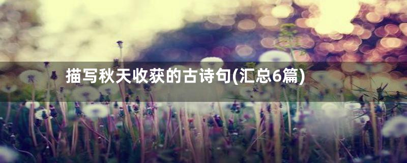描写秋天收获的古诗句(汇总6篇)