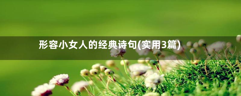 形容小女人的经典诗句(实用3篇)