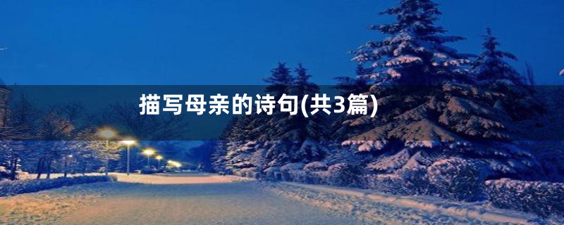 描写母亲的诗句(共3篇)