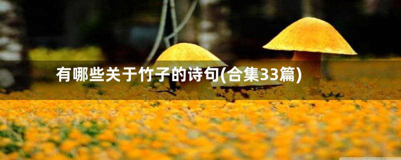 有哪些关于竹子的诗句(合集33篇)