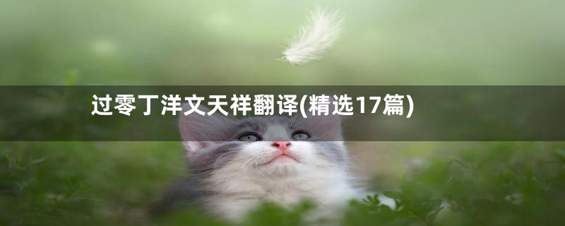 过零丁洋文天祥翻译(精选17篇)
