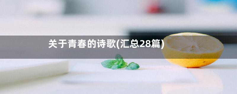 关于青春的诗歌(汇总28篇)