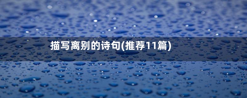 描写离别的诗句(推荐11篇)