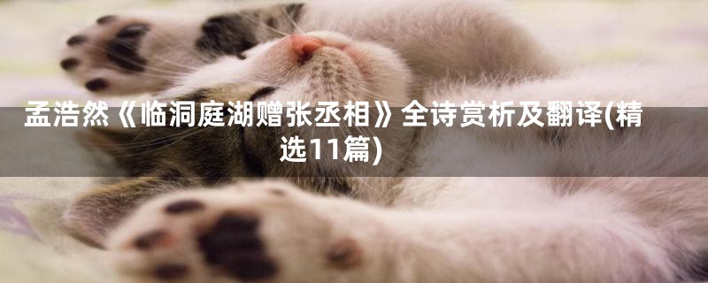 孟浩然《临洞庭湖赠张丞相》全诗赏析及翻译(精选11篇)