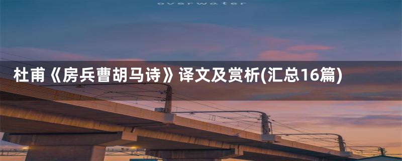 杜甫《房兵曹胡马诗》译文及赏析(汇总16篇)