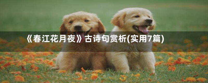 《春江花月夜》古诗句赏析(实用7篇)
