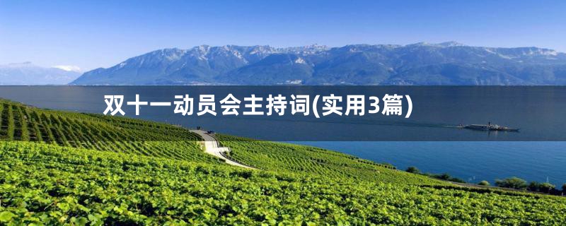 双十一动员会主持词(实用3篇)
